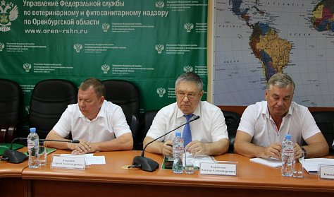 На публичных слушаниях – об исполнении законов